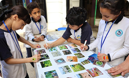 School Educational Programs