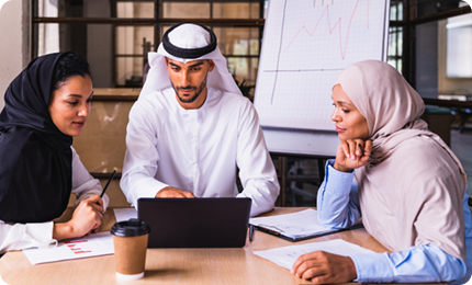 Emiratization Programs